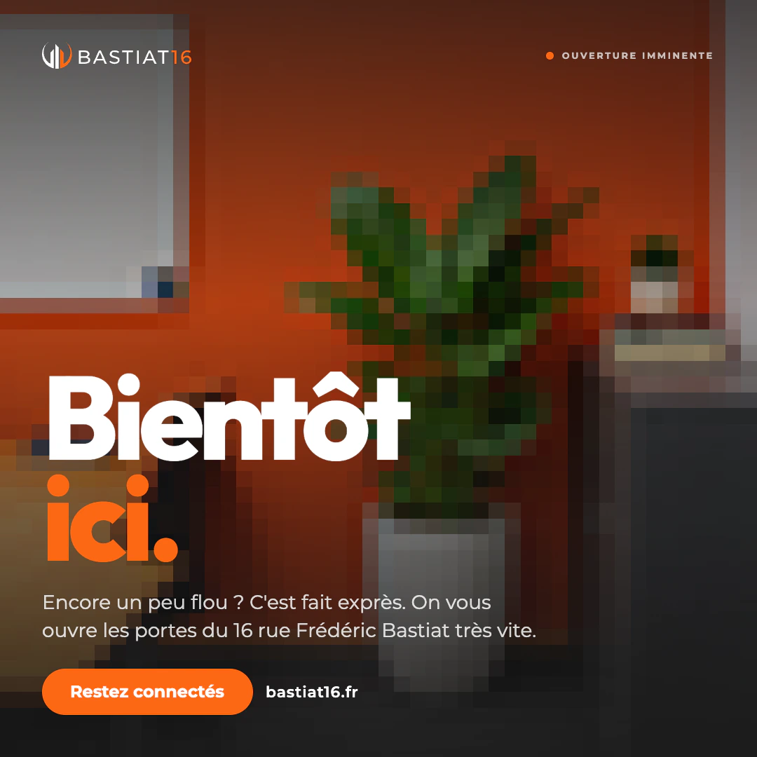 Post de lancement Bastiat16, direction pixellisation