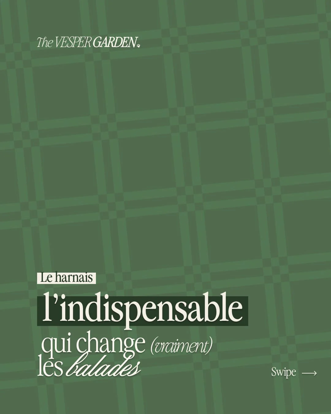 Couverture de carrousel Instagram The Vesper Garden : le harnais, l'indispensable qui change les balades, motif tartan vert
